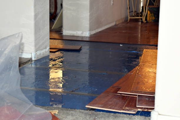 Professional Sewage Cleanup technician working in Homer, MI
